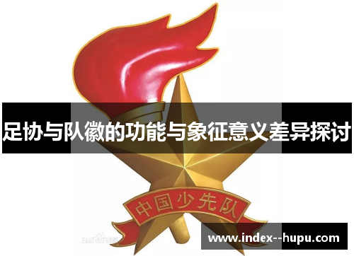 足协与队徽的功能与象征意义差异探讨