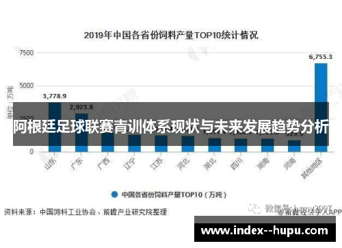 阿根廷足球联赛青训体系现状与未来发展趋势分析